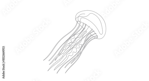 Detailed Illustration of a Jellyfish with flowing tentacles in a minimalistic style