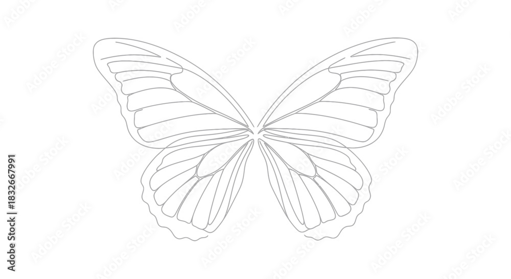Fototapeta premium Elegant line art sketch of a butterfly with detailed wings for design projects