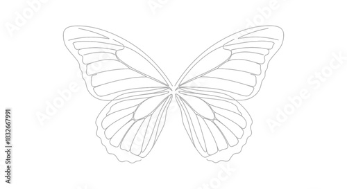 Elegant line art sketch of a butterfly with detailed wings for design projects
