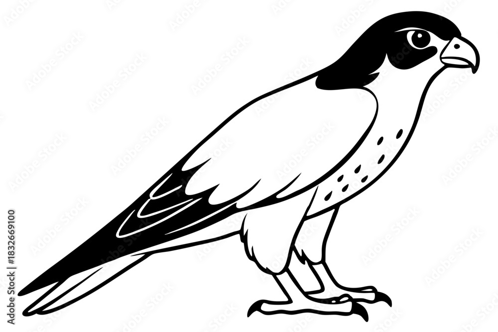 Obraz premium falcon silhouette black and white line art on white background