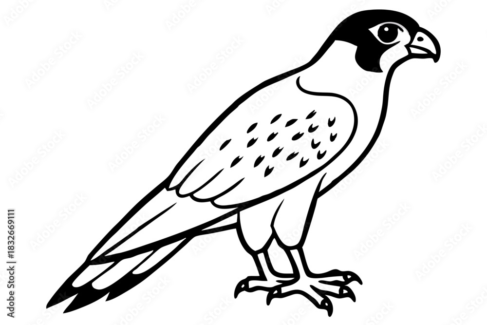 Obraz premium falcon silhouette black and white line art on white background