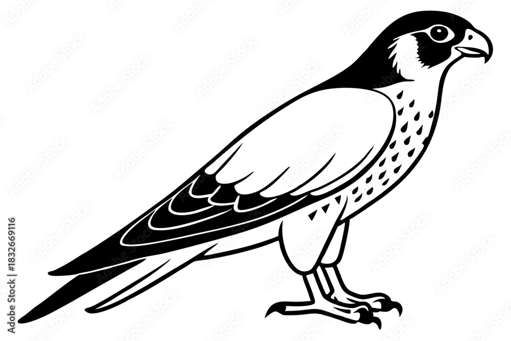 Obraz premium falcon silhouette black and white line art on white background
