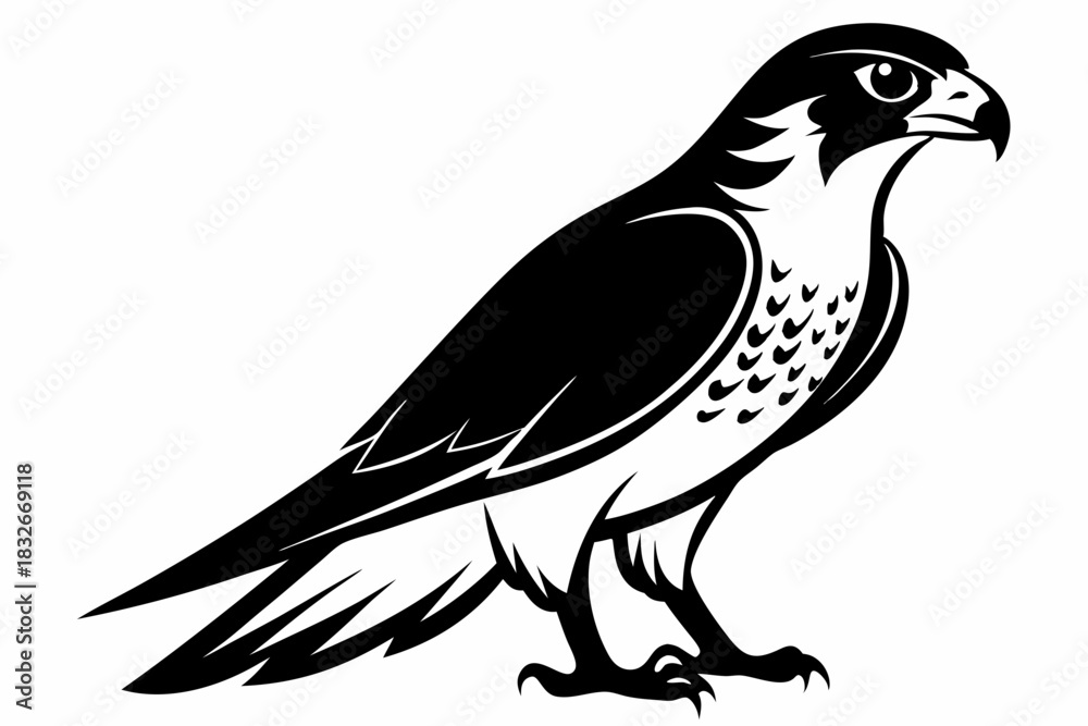 Obraz premium falcon silhouette black and white line art on white background