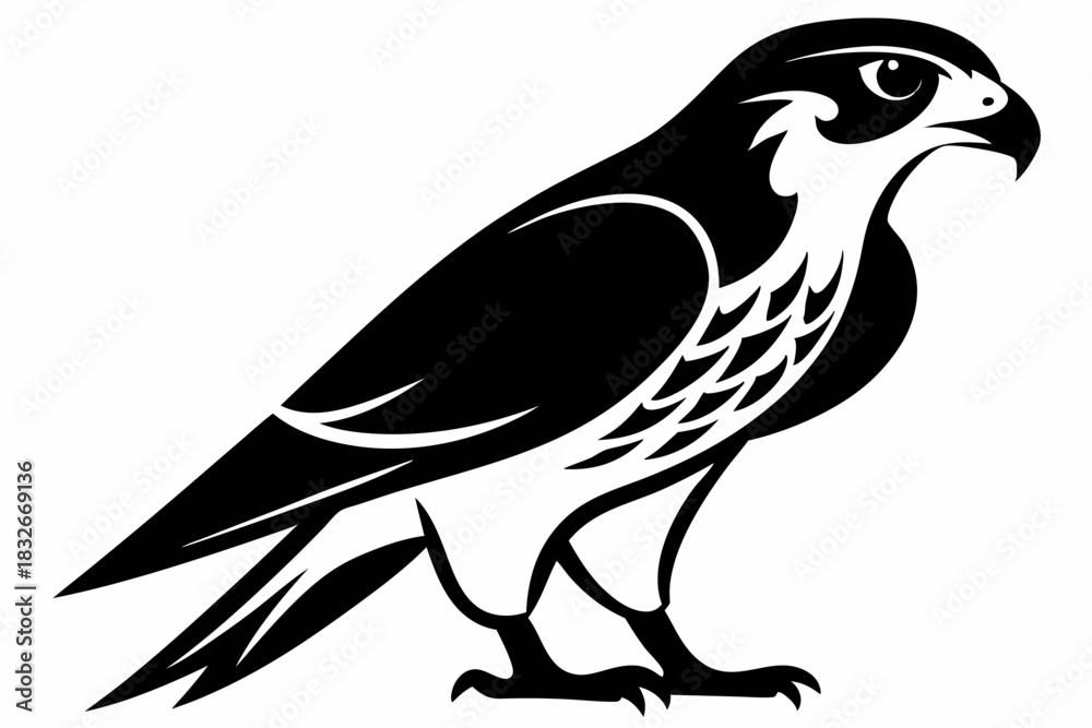 Obraz premium falcon silhouette black and white line art on white background