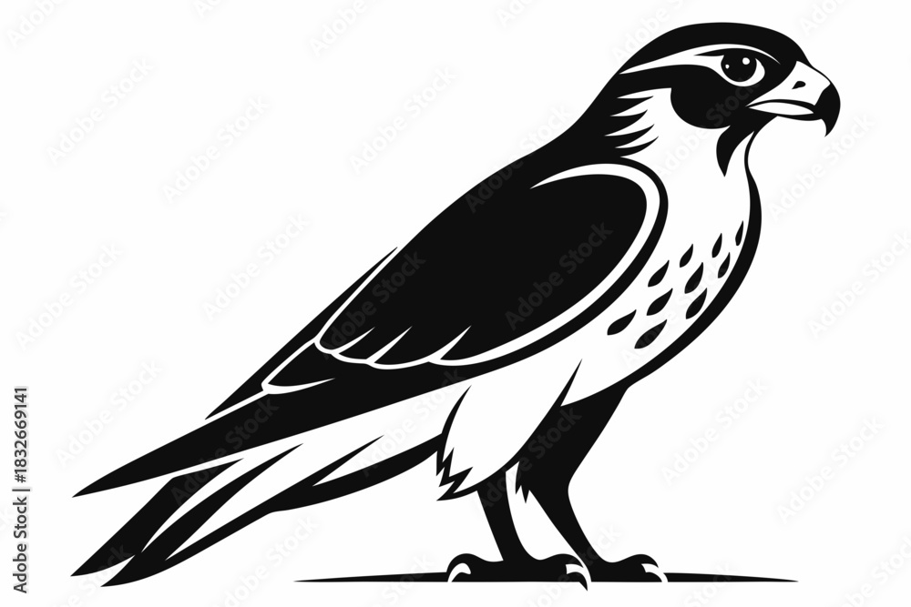 Obraz premium falcon silhouette black and white on white background