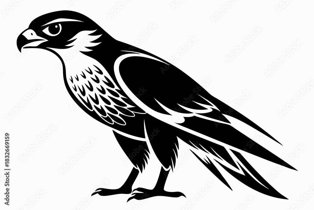 Obraz premium falcon silhouette black and white on white background