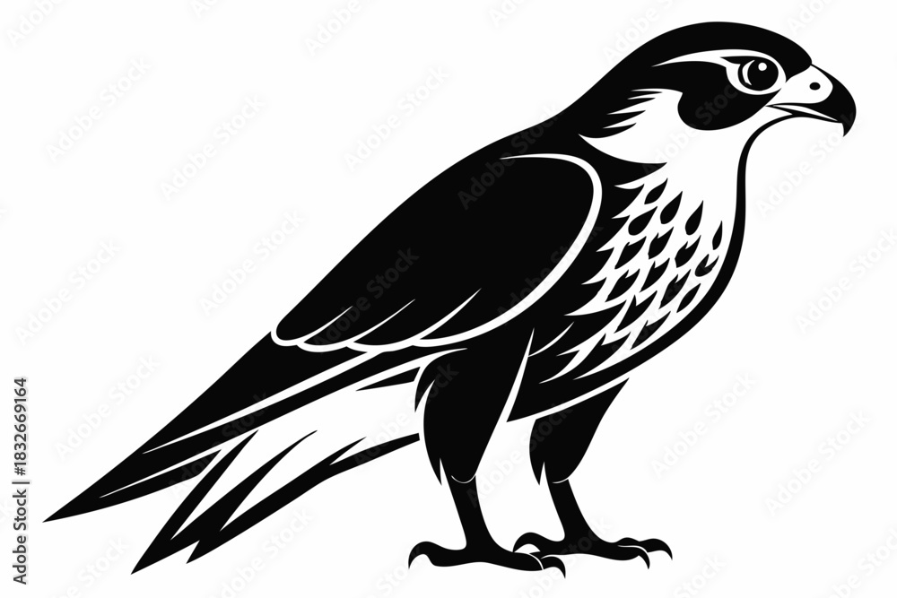 Naklejka premium falcon silhouette black and white on white background