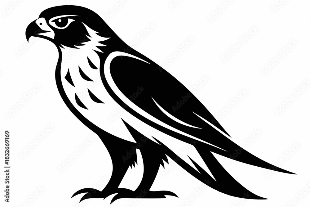 Obraz premium falcon silhouette black and white on white background