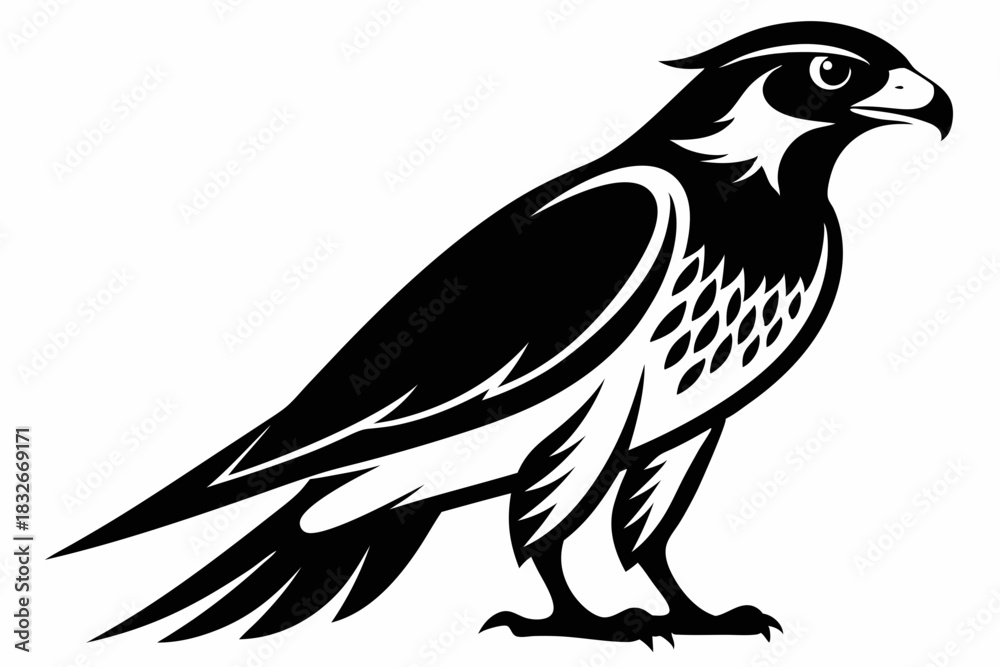 Obraz premium falcon silhouette black and white on white background