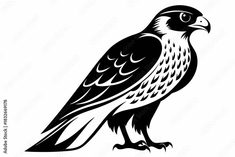 Obraz premium falcon silhouette black and white on white background