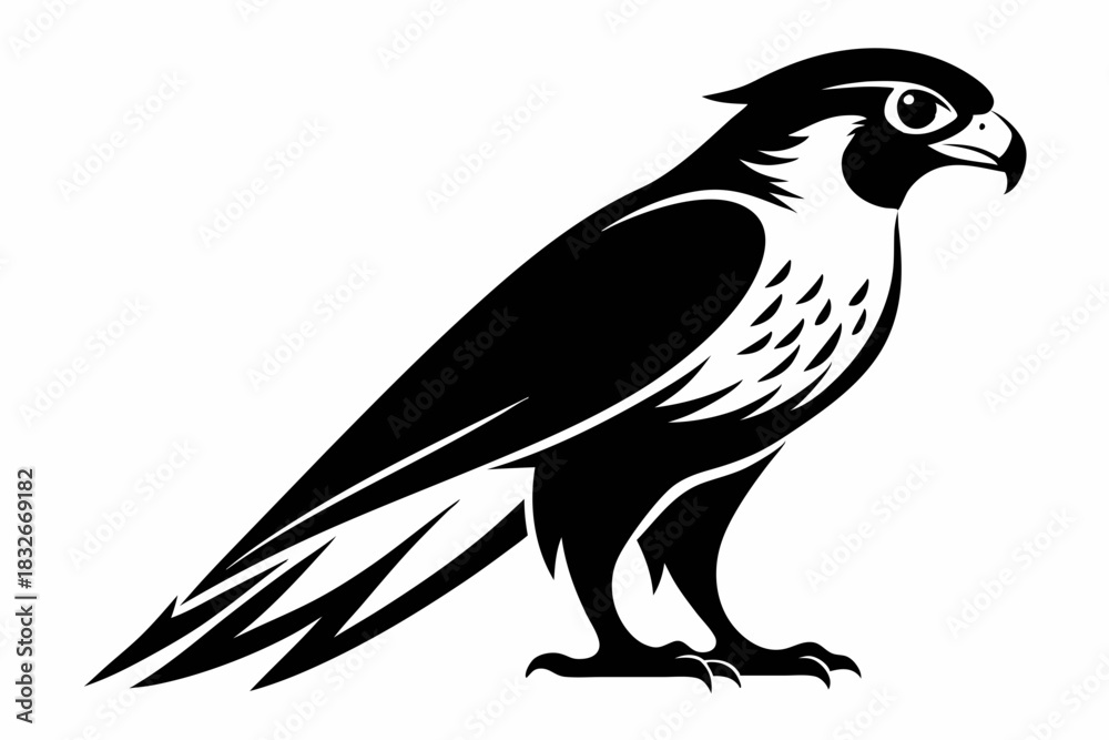 Obraz premium falcon silhouette black and white on white background