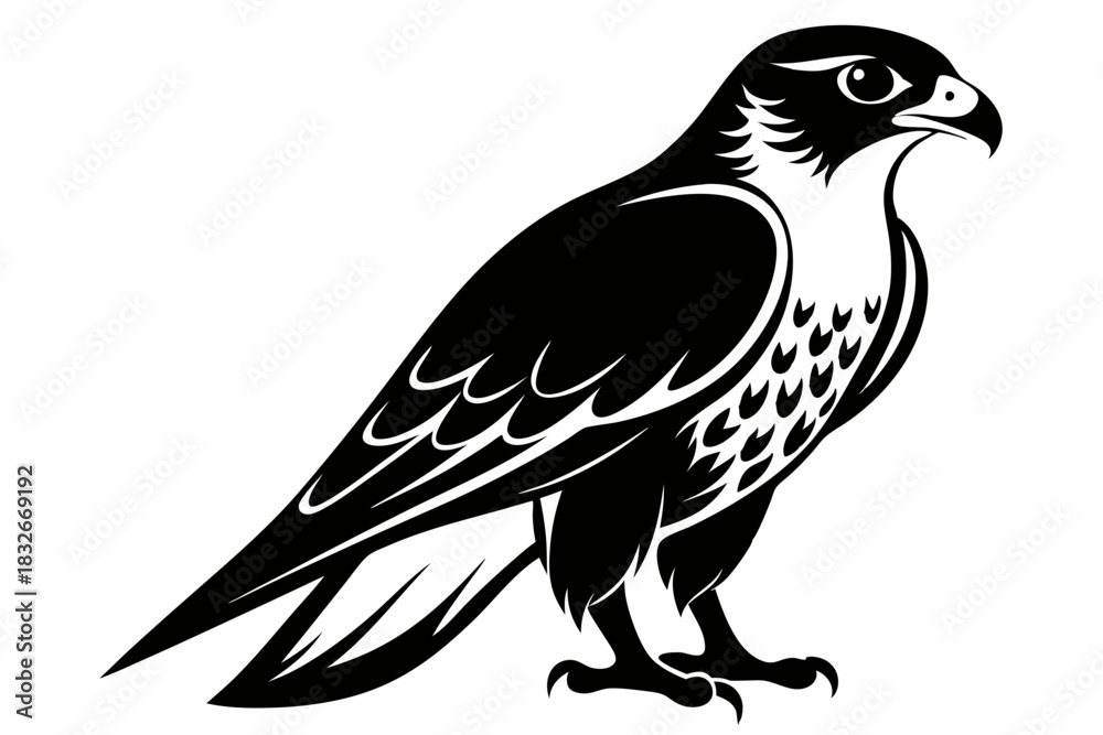 Obraz premium falcon silhouette black and white on white background