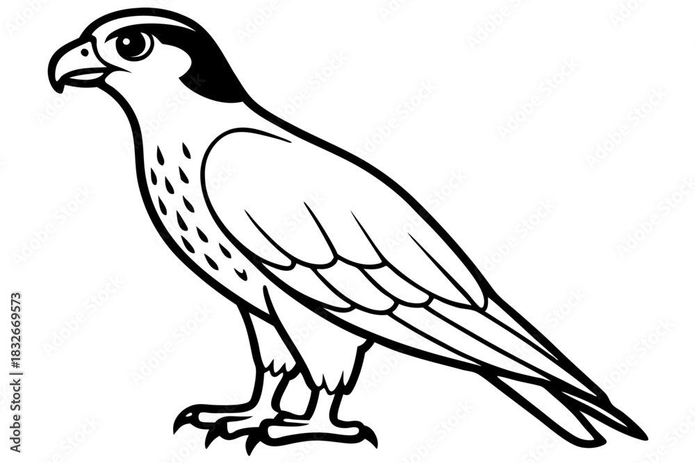 Fototapeta premium hawk black and white on white background