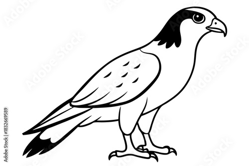 hawk black and white on white background