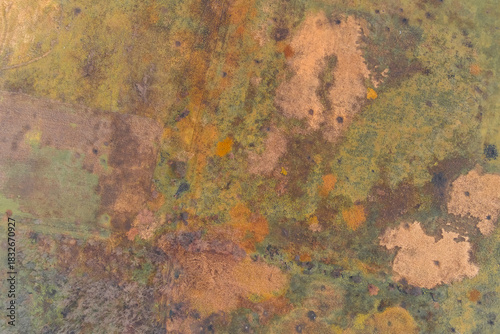 Abstract aerial texture of a wetland and field during autumn, featuring a chaotic blend of green, yellow, and orange vegetation.