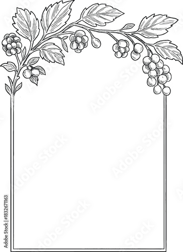 Vintage Botanical Berry Border and Frame Illustration Hand Drawn Floral Design