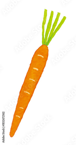 細長いにんじんを描いた手描き風イラスト（シンプル野菜素材）