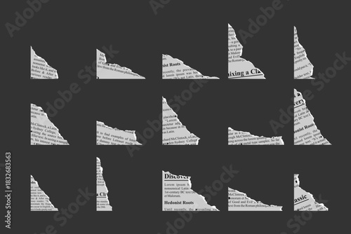 Torn Newspaper Vector