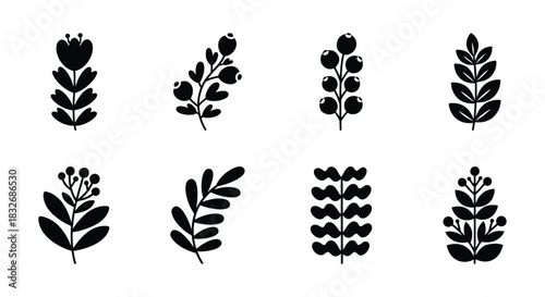 Collection of Black and White Minimalist Floral Plant Elements
