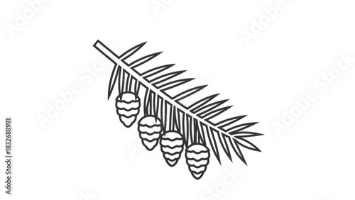 A minimalist line art illustration of a pine branch with four pine cones hanging from it against a white background