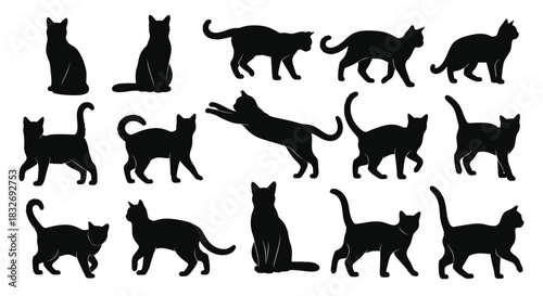 A collection of black cat silhouettes in various dynamic poses