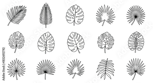 Collection of various tropical leaves in a simple black and white line art style