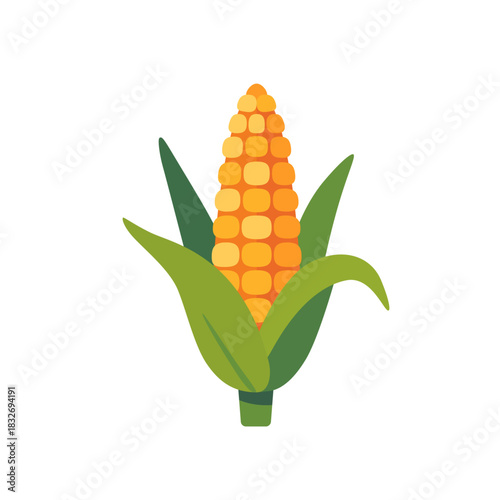 Fresh yellow corn cob with green leaves, isolated flat style vector illustration