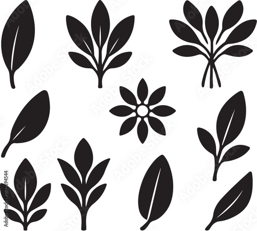 Sage Herb Silhouette Icon Set.eps
