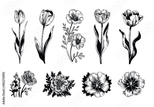 Collection of black and white handdrawn botanical floral elements featuring tulips and other flowers and leaves for springtime and nature themes