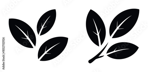 Two minimalist black leaf icons representing nature and growth, perfect for organic product branding and ecological themes.