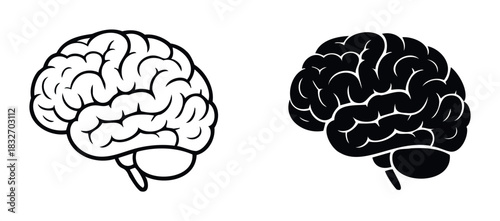 Two human brain icons side by side, one outline and one solid black silhouette, perfect for representing intellect, knowledge, and cognitive functions in medical or educational contexts.