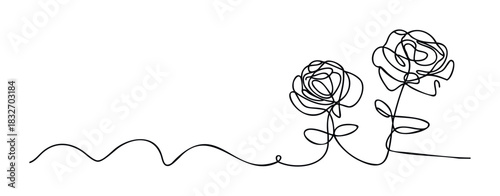 Elegant single line drawing of two blooming roses connected by a flowing vine, perfect for elegant floral graphics and nature themed presentations.