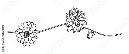 Delicate line art celebrates floral beauty with blooming flowers and a budding plant, perfect for graphic accents and decorative elements in editorial and branding projects.