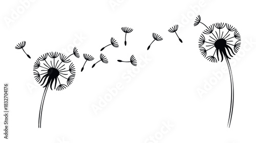 Black dandelion silhouette with seeds blowing in wind, representing natures cycle and new beginnings, suitable for spring themes and inspirational messages