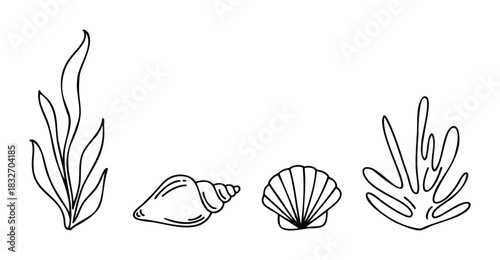 Ocean flora and shells in a simple line drawing for underwater aquatic themes and seaside vacation concepts