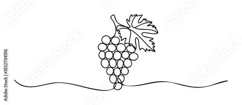 Stylized single line drawing of a grape cluster with a leaf and wavy line accents, perfect for food and beverage branding and organic produce promotions