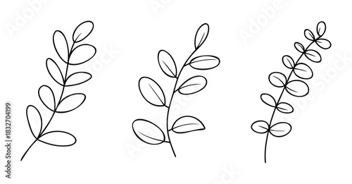 Collection of simple line drawn botanical sprigs and leaves, perfect for floral compositions, wedding stationery, and nature inspired graphic elements.
