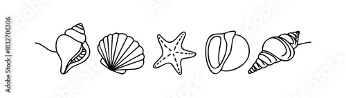 Set of simple black and white line drawings of various seashells and a starfish, perfect for ocean themed graphics and summer decorations.