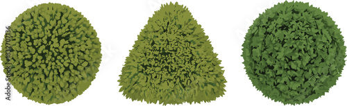 Top down view of garden bushes, green shrub foliage, detailed landscape plant icons, organic texture vector