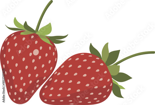 Two fresh red strawberries illustration, sweet summer fruit, organic food, gourmet dessert ingredient vector
