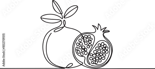 Continuous linear drawing of pomegranate. One line drawing garnet. Pomegranate in one line style. Vector illustration. one line Icon drawing