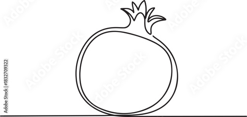 Continuous linear drawing of pomegranate. One line drawing garnet. Pomegranate in one line style. Vector illustration. one line Icon drawing