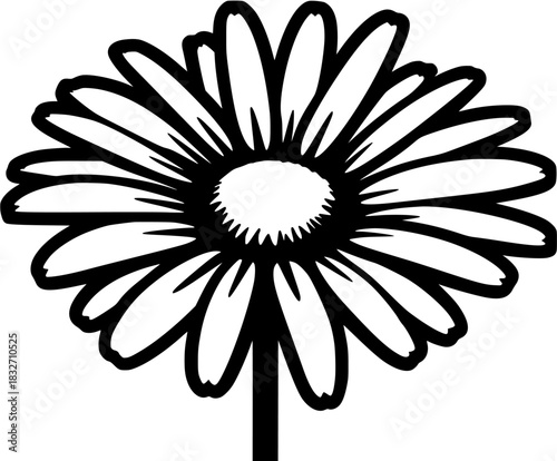 timeless symbol purity innocence, black white daisy stands as beacon hope peace. | Clean, isolated vector art for creative projects.