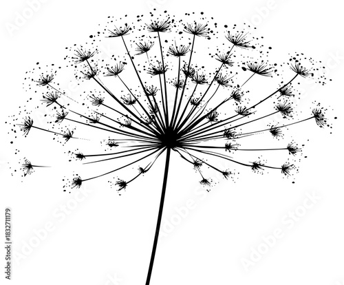 Whimsical Winter: Black White Artistic Representation Dried Flower Head | Clean, isolated vector art for creative projects.