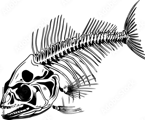 Aquatic Skeletal Art: fish skeleton flat vector icon black white only simple | Clean, isolated vector art for creative projects.