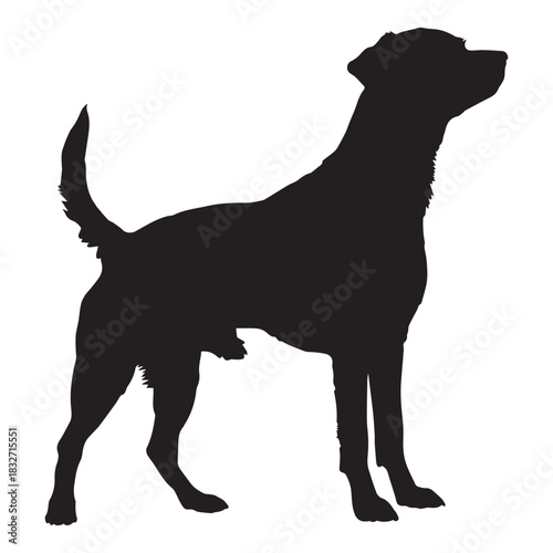 silhouette of a dog on white background