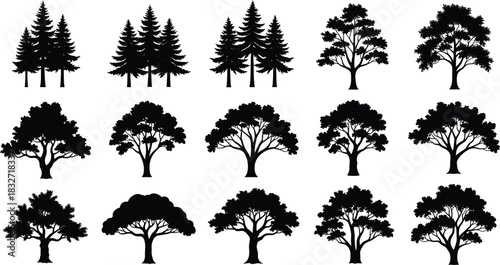Collection of detailed tree silhouettes featuring pine, oak, and deciduous shapes for landscape design, nature illustration, environmental projects, and graphic resources