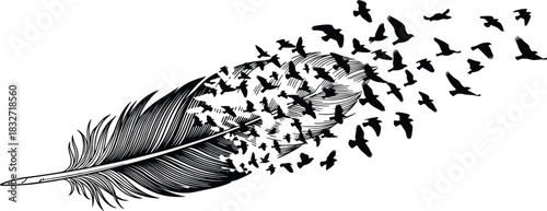 Creative feather illustration transforming into flying birds, symbolic freedom concept design, artistic nature silhouette vector artwork for inspirational themes
