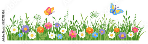 Spring meadow flower and grass. Floral border with grass and hand drawn blooming flowers