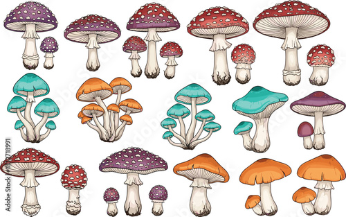 Colorful mushroom illustration set with fantasy fungi, detailed toadstool drawings, botanical nature collection for design, stickers, packaging and artwork projects